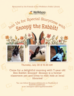 Snoopy the Rabbit Flyer
