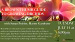 growing orchids