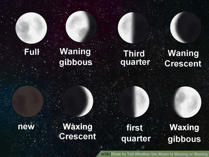 the-sun-and-the-earthmoon-system-lesson-0056-tqa-explorer