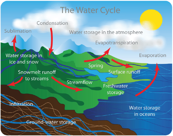 cycles of matter (lesson 0415) - TQA explorer carbon cycle diagram earths 
