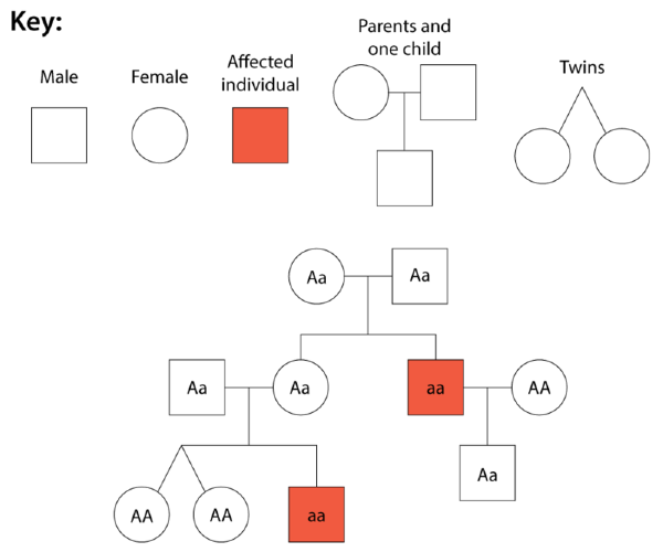 pedigree analysis (lesson 0627) TQA explorer