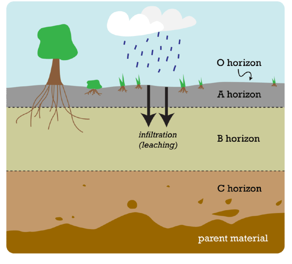 soils (lesson 0088) TQA explorer