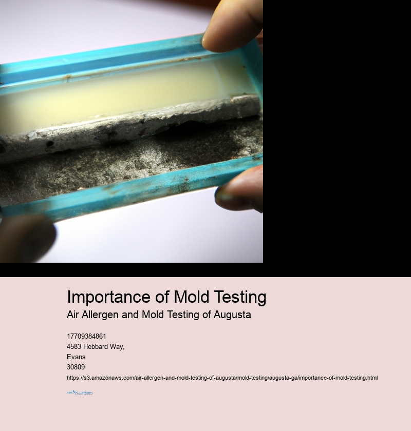 Importance of Mold Testing