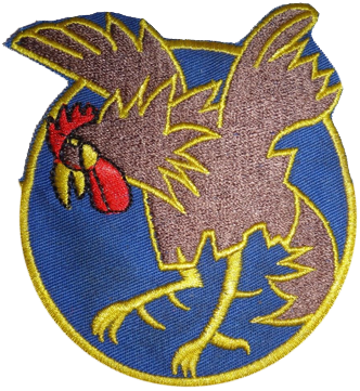 29th Fighter Squadron