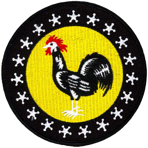 19th Pursuit Squadron