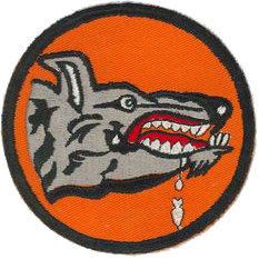 49th Bombardment Squadron, Heavy