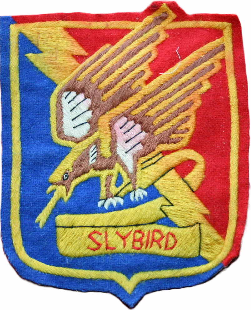 353rd Fighter Group