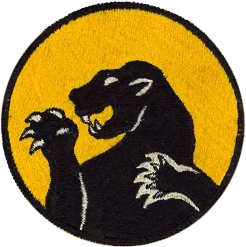 338th Fighter Squadron