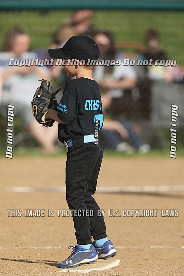 Wellsburg Shetland Blue Jays 4-21-26