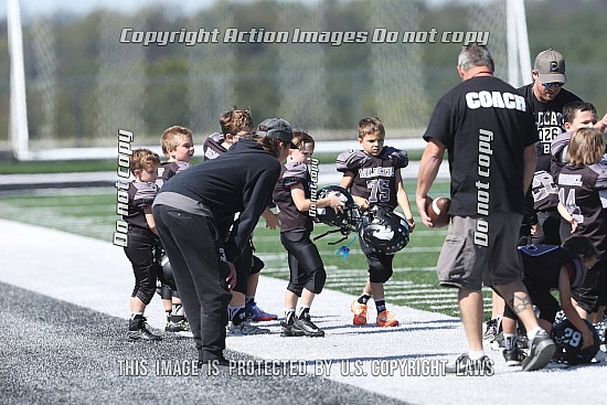 Edison Jr Wildcat football bantam 10-3-26