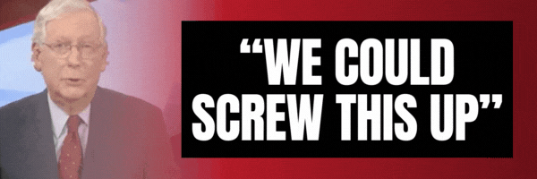 Mitch McConnell: We could screw this up