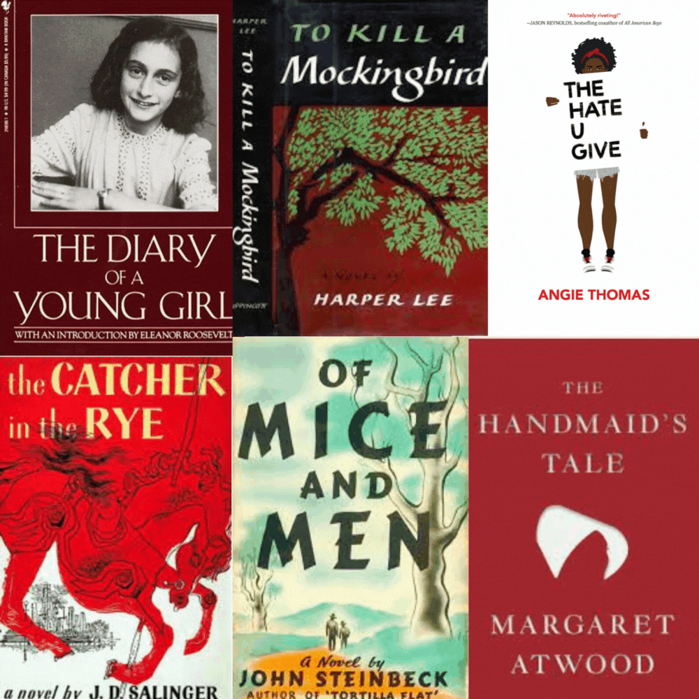 Banned book titles