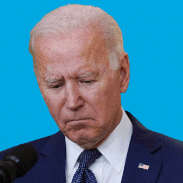 President Biden, Jamie Raskin, Elizabeth Warren, and Pete Buttigieg