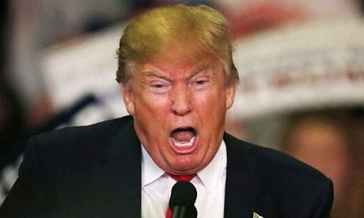 Donald Trump would be furious