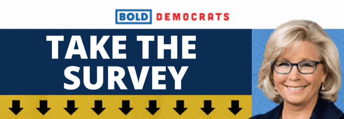 Liz Cheney Legacy Survey | BOLD Pac