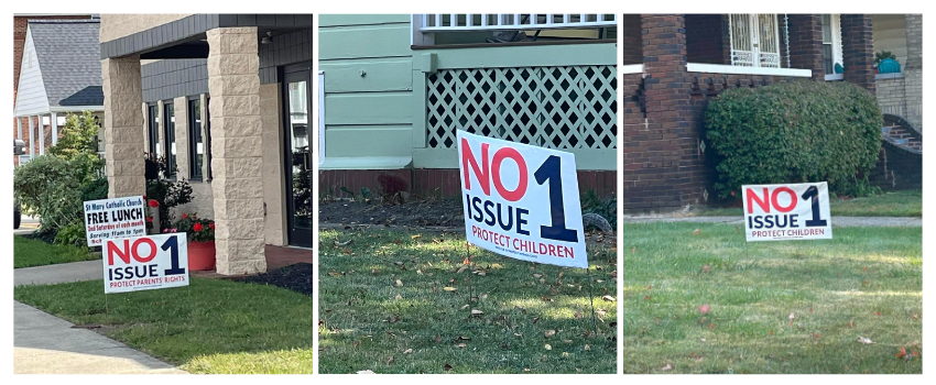 Yard Signs from Anti-abortion extremists