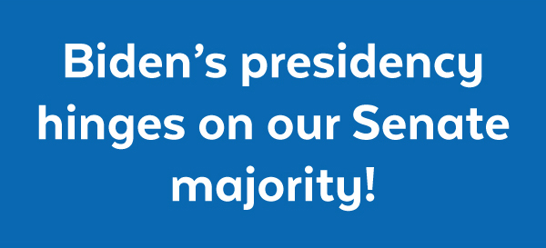 Biden's presidency hinges on our Senate majority!