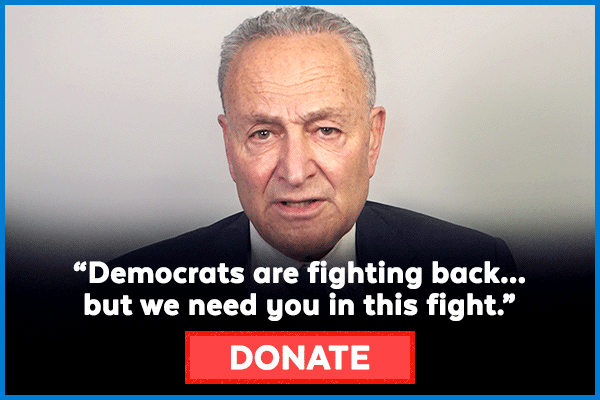 Schumer: 'Democrats are fighting back...'
