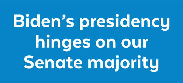 Biden's presidency hinges on our Senate majority