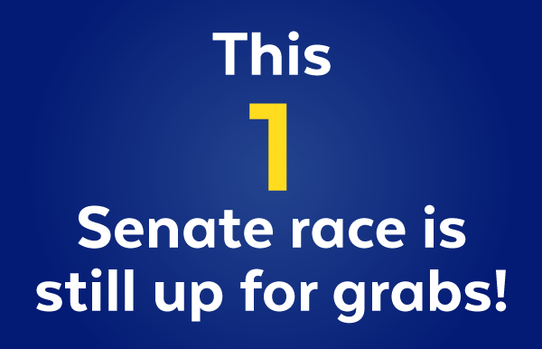 This 1 Senate race is still up for grabs!