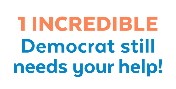 1 INCREDIBLE Democrat needs your help!