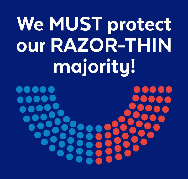 We MUST protect our RAZOR-THIN majority!