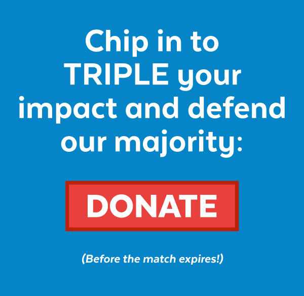 Chip in to TRIPLE your impact and defend our majority (before the match expires!)