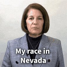 Catherine Cortez Masto: 'My race in Nevada will determine Senate control'