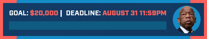 Donations to PASS the John Lewis Voting Rights Advancement Act