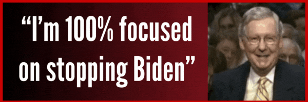 I’m 100% focused on stopping Biden - Mitch McConnell