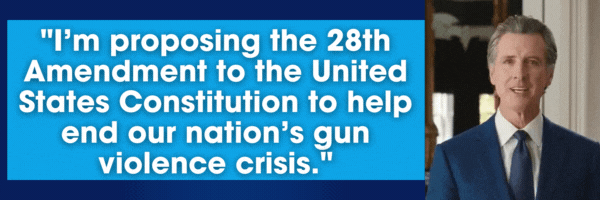 I'm proposing the 28th Amendment to the United States Constitution to help end our nation's gun violence crisis.