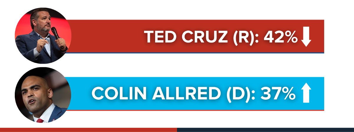 Colin Allred and Ted Cruz Poll