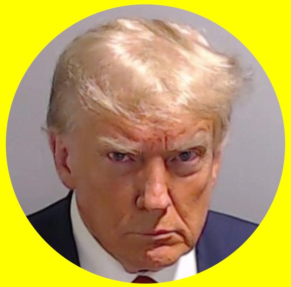 Trump mug shot