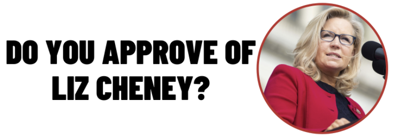 Do you approve of Liz Cheney?