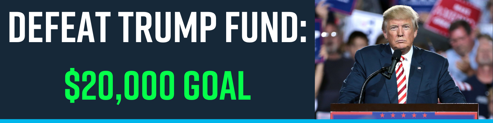 DEFEAT TRUMP FUND | $20,000 GOAL DEFEAT TRUMP FUND | $20,000 GOAL