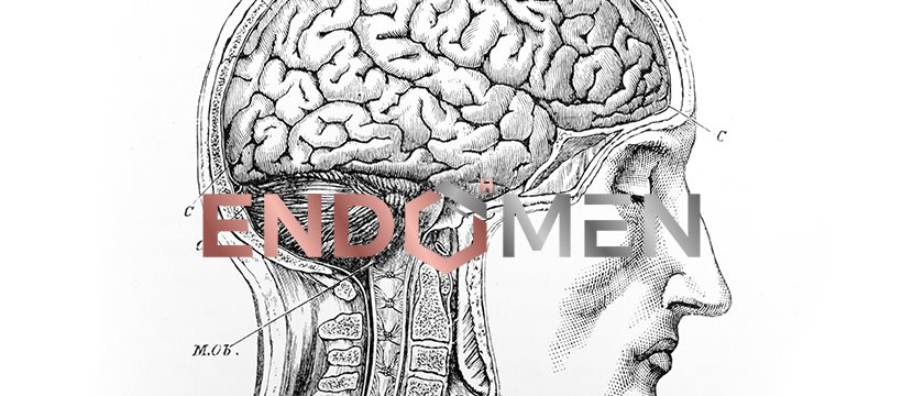 Proper Cbd Gummies Website