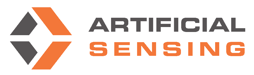 Artificial Sensing