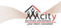 City Services Consultancy