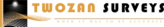 Twozan Surveys