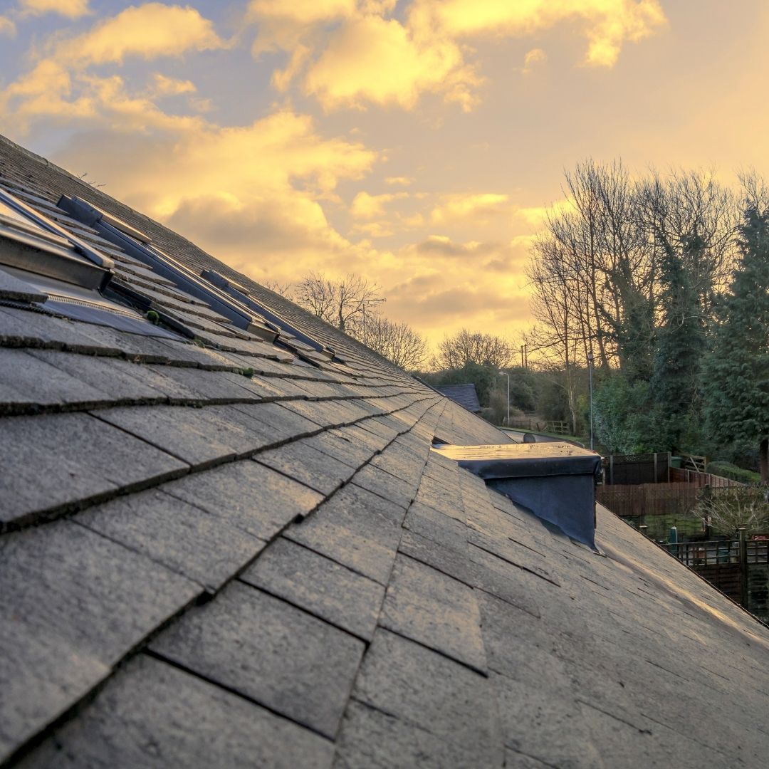 Can you help plan long-term roofing solutions?