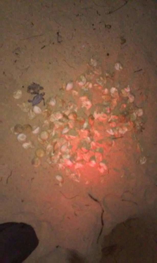 2016-09-25-001-2016-09-25-003