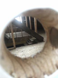 Pigeon Through A Peephole