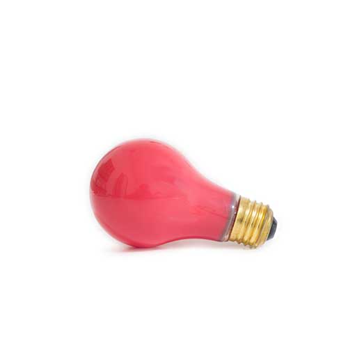 Bulb 25 W Red