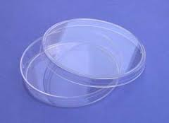 Petri Dish, 50mm, 10/pk