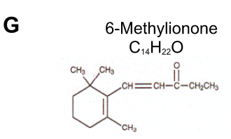 Activate Learning Smell Cards