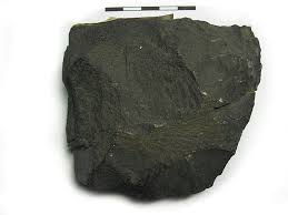 Rock Sample, Basalt, single