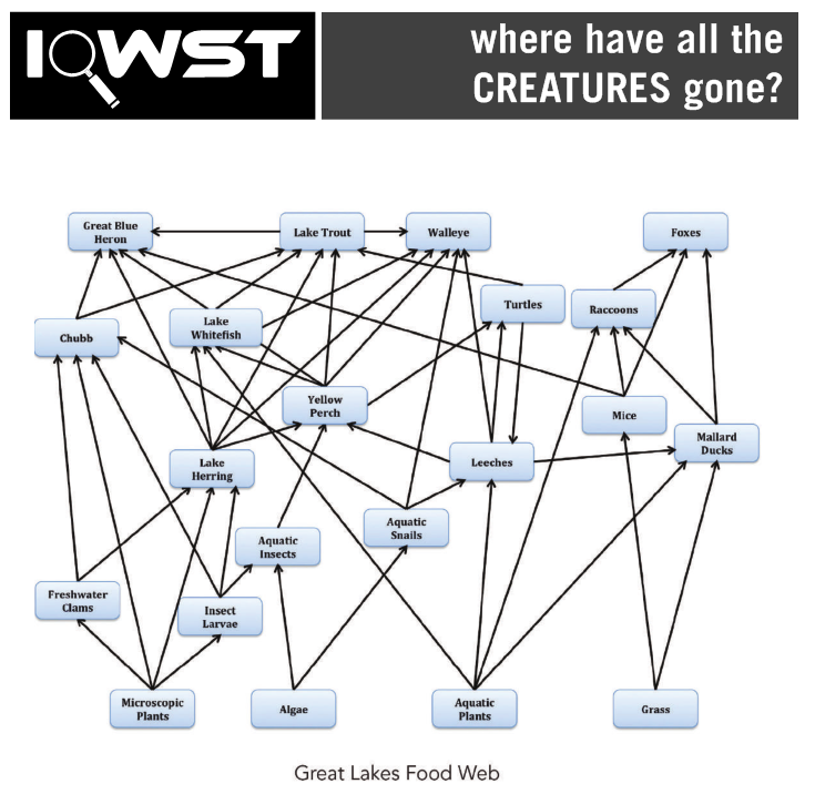 Great Lakes Food Web, Print