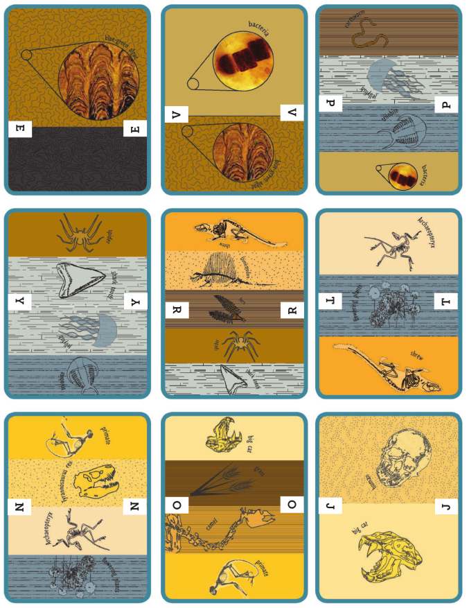 Fossil Cards, Deck