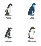 Lesson 2 Penguin Stickers, Sheet of 19