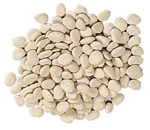 Large Lima Beans, 16oz Bag